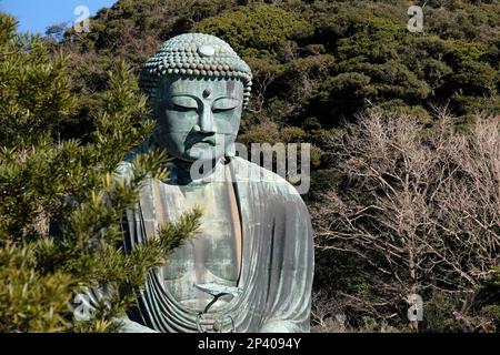 Großer buddha in Kamakura, Japan Stockfoto