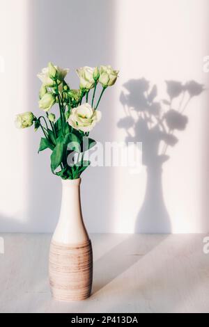 Strauß von Oestouma-Blüten in Vase im Sonnenlicht. Stockfoto