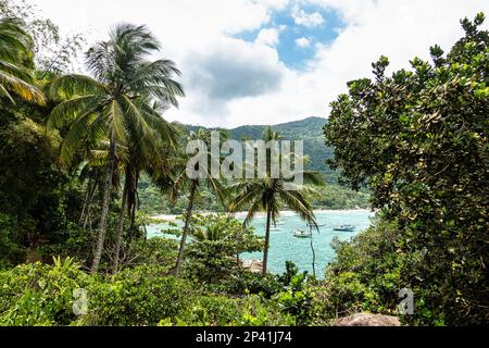 Aventureiro Beach auf der großen Insel Ilha Grande in Angra dos Reis, Rio de Janeiro, Brasilien Stockfoto