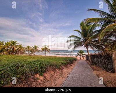 Blick auf den Strand von Imbassai, Bahia, Brasilien. Wunderschöner Strand im Nordosten mit einem Fluss und Palmen. Stockfoto