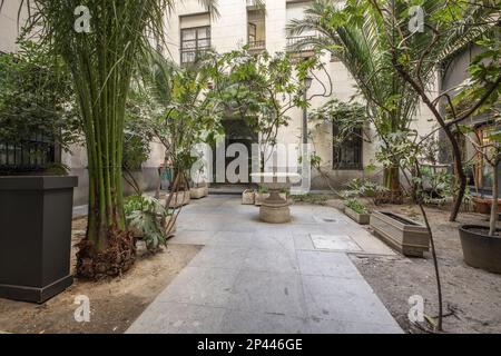 Korridor mit Granitpflaster zwischen Pflanzen und Palmen und ein Springbrunnen im Innenhof eines städtischen Gebäudes Stockfoto