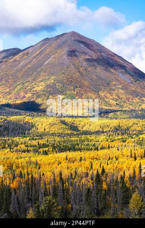 Weitläufige Landschaft im malerischen Norden Kanadas mit Blick auf die Berge, die im Herbst, September, während der Roadtrip auf dem Alaska Highway gemacht wurde. Stockfoto