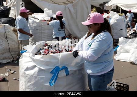 Mexiko-Stadt, Mexiko. 5. März 2023. Recyclingarbeiter sammeln die mehr als eine Million Dosen des Fleur de Lis im Zocalo in Mexiko-Stadt, Mexiko. Am 5. März 2023 in Mexiko-Stadt, Mexiko (Kreditbild: © Luis Barron/Eyepix via ZUMA Press Wire) NUR REDAKTIONELLER GEBRAUCH! Nicht für den kommerziellen GEBRAUCH! Stockfoto