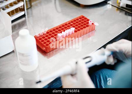 Der Techniker arbeitet an der Untersuchung der Analysenprobe in Reagenzgläsern Stockfoto