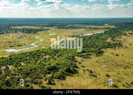 Afrika, Botswana, Okavango Delta. Luftaufnahme eines Flusses und grüner Bäume auf dem Okavango Delta. Stockfoto