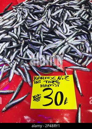 Rohe Sardellen (Türkisch: Hamsi) auf der Fischtheke. Stockfoto