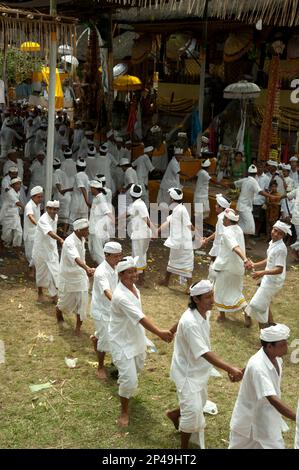Männer, die während der Prozession beim Siat-Sampian-Festival (Kokosnusskrieg), Pura Samuan Tiga, Ubud, Bali, Indonesien Händchen hielten Stockfoto