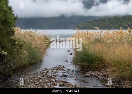 Im Nelson Lakes National Park in Aotearoa, Neuseeland, fließt ein Bach in den Lake Rotoiti. Stockfoto