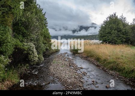 Im Nelson Lakes National Park in Aotearoa, Neuseeland, fließt ein Bach in den Lake Rotoiti. Stockfoto