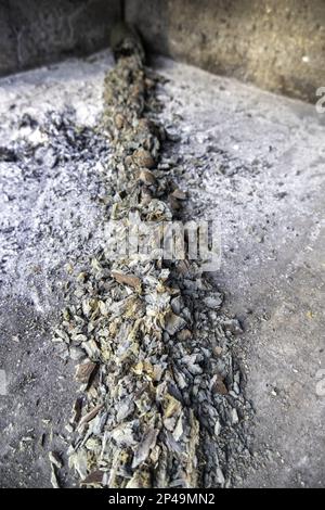 Details von verbranntem und verkohltem Holzstamm in einem Barbecue Stockfoto