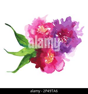 Aquarell Rosa Blume Blume blumig Pfingstrose Nelkenblatt Boutonniere Komposition Set isolierte Art Illustrationsvektor. Stock Vektor