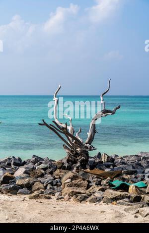 Lakshadweep die schönsten Orte in Indien. Stockfoto