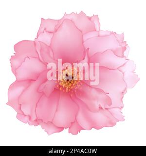 Vector 3D realistische, rosafarbene Kirschblüte, digitale Kunst isoliert. Stock Vektor