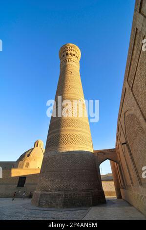 Kalan-Minarett in der Altstadt von Bukhara, Usbekistan. Stockfoto