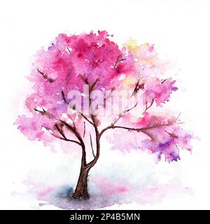 Aquarell einzelne rosafarbene Kirschsakurabaum isolierte Kunst. Stockfoto