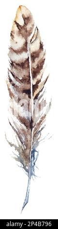 Aquarell Braun gestreift einzelner Federvektor isoliert. Stock Vektor