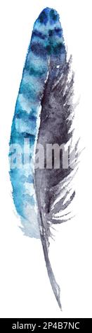 Aquarell Schwarz und Blau jay Federvektor isoliert. Stock Vektor