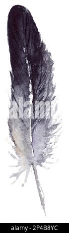 Aquarell Schwarz und Weiß Schwarzweiß jay Federvektor isoliert. Stock Vektor