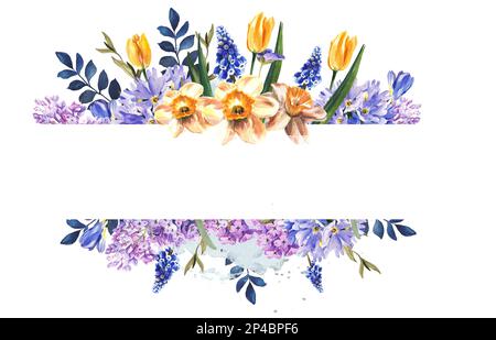 Rahmen aus Frühlingsblumen auf weißem Hintergrund. Aquarelldarstellung Stockfoto