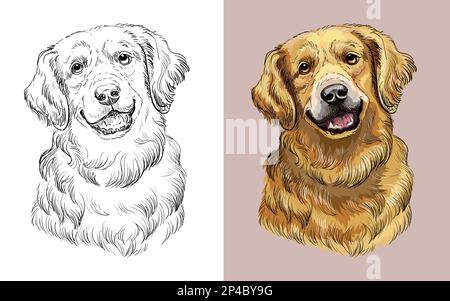 Realistischer Kopf des Golden Retriever Hundes. Vektor schwarz-weiß und farbenfrohe isolierte Illustration eines Hundes. Für Dekoration, Malbuch, Design, Druck Stock Vektor