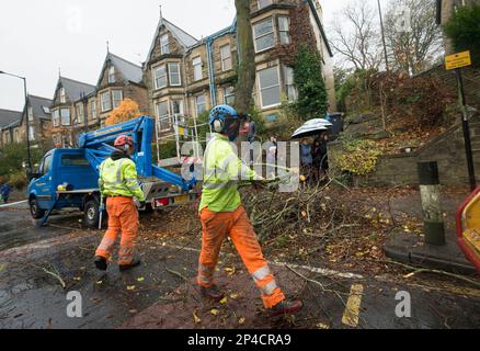 Aktenfoto vom 17.11/2016 von Mitgliedern der Öffentlichkeit, die sehen, wie Bauunternehmer einen Baum in der Rustlings Road, Sheffield, Fällen. Eine unabhängige Untersuchung der Sheffield Street Trees Kontroverse wird am Montag berichten. Sir Mark Lowcocks Untersuchung der manchmal bizarren Ereignisse rund um das Fällen von Tausenden von Bäumen zwischen 2016 und 2018 wurde als „Wahrheitsmoment und Versöhnung“ für die Stadt bezeichnet. Das Fällen führte zu täglichen Konfrontationen zwischen Demonstranten und Auftragnehmern in einigen der grünsten Vororte der Mittelschicht der Stadt. Ausgabedatum: Montag, 6. März 2023. Stockfoto