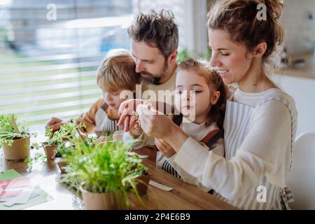 Glückliche Familie pflanzt im Frühling zusammen Kräuter. Stockfoto