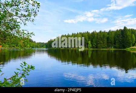 Kuttelbacher Teich mit der umliegenden Natur in der Nähe von Goslar, im Bezirk Hahnenklee-Bockswiese. Landschaft im Harz-Gebirge mit Bademöglichkeit p Stockfoto