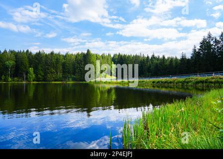 Kuttelbacher Teich mit der umliegenden Natur in der Nähe von Goslar, im Bezirk Hahnenklee-Bockswiese. Landschaft im Harz-Gebirge mit Bademöglichkeit p Stockfoto