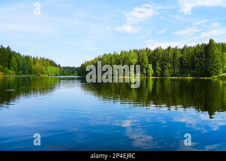 Kuttelbacher Teich mit der umliegenden Natur in der Nähe von Goslar, im Bezirk Hahnenklee-Bockswiese. Landschaft im Harz-Gebirge mit Bademöglichkeit p Stockfoto