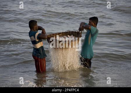 F frisch gefangenen Fisch aus Sri Lanka waschen Stockfoto