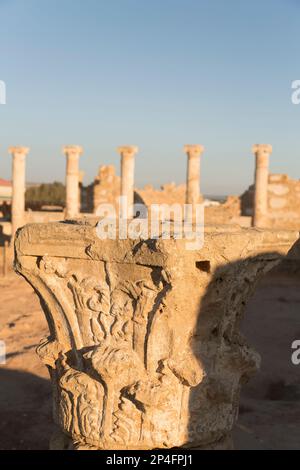 Zypern, Pathos, römische Säulen an der archäologischen Stätte von Kato Pathos. Stockfoto