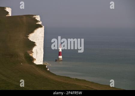 1831 begannen die Bauarbeiten am Leuchtturm Belle Tout auf der nächsten Landzunge westlich von Beachy Head. Es wurde 1834 in Betrieb genommen. Weil Nebel und niedrig Stockfoto