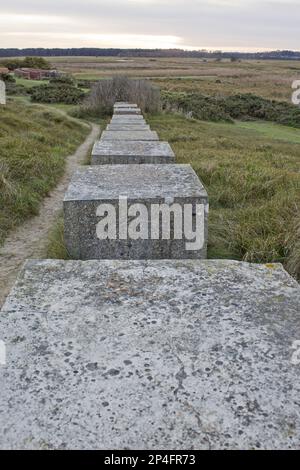 Blick auf Betonfallen aus dem Zweiten Weltkrieg auf den Dünen der Küste, Minsmere RSPB Reserve, Suffolk, England, Großbritannien Stockfoto