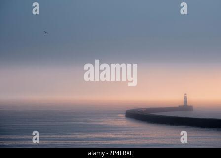 Seaham Leuchtturm an einem nebeligen Wintermorgen, aufgenommen mit einer Standardlinse. County Durham, England Stockfoto