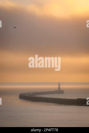 Seaham Leuchtturm an einem nebeligen Wintermorgen, aufgenommen mit einer Standardlinse. County Durham, England Stockfoto