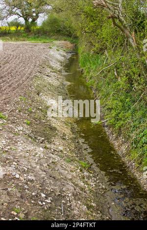 Kürzlich freigelegte Entwässerungsgräben, um den Anbau von zuvor feuchten Getreidefeldern zu ermöglichen, Tincleton, Dorset, England, Vereinigtes Königreich Stockfoto