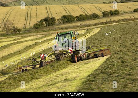 John Deere Traktor mit Tedder, Raufe in Vorbereitung auf die Silageherstellung, bei Stranraer, Dumfries und Galloway, Schottland, Großbritannien Stockfoto