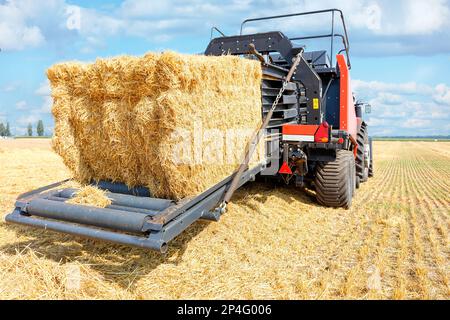 Große Strohballen werden von einem landwirtschaftlichen Traktor nach dem Ende der Weizenernte an einem Sommertag auf einem gelben Feld und am blauen Himmel geformt. Stockfoto