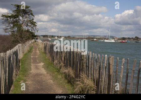 Küstenpfad von Itchenor nach West Wittering, Manhood Peninsula, West Sussex, England, Vereinigtes Königreich Stockfoto