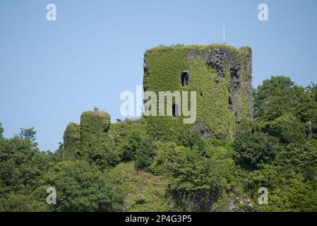 Blick auf efeubedeckte Burgruinen auf einem Hügel in der Küstenbucht, Dunollie Castle, in der Nähe von Oban, Firth of Lorn, Argyll und Bute, Schottland, Vereinigtes Königreich Stockfoto