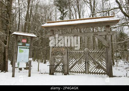 Tor zum ursprünglichen Waldlebensraum, streng geschütztes Gebiet Bialowieza, Woiwodschaft Bialowieza N. P. Podlaskie, Polen Stockfoto