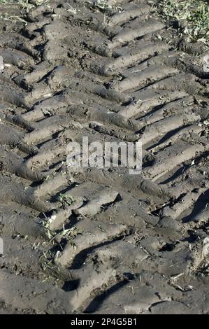 Reifenspuren von Traktoren auf schlammigem Feld, Schweden Stockfoto