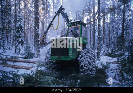Forstmaschine mit Schneeketten auf Reifen, Fällen von Kiefern auf schneebedeckten Plantagen, Schweden Stockfoto