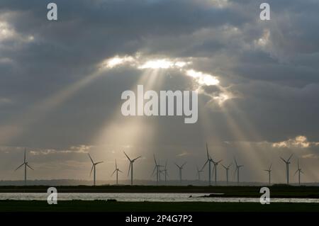 Windturbinen auf einem Windpark mit Sonnenstrahlen durch die Wolken bei Sonnenuntergang, Little Cheyne Court, Romney Marsh, Kent, England, Vereinigtes Königreich Stockfoto