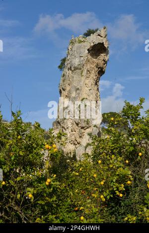 Latomia del Paradiso, Neapolis, Syracuse, Sizilien, Italien Stockfoto