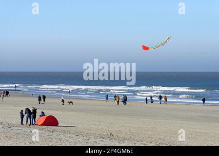 Blick über den Nordstrand mit Strandspaziergängen, bunten fliegenden Drachen im blauen Himmel, Nordsee mit Wellen, Norderney, Ostfriesische Inseln, untere Stockfoto