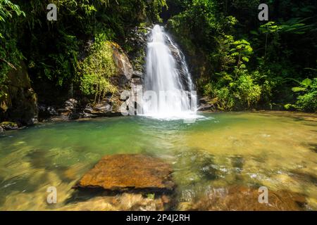 Wunderschöner Blick auf den grünen atlantischen Regenwald Wasserfall in Salto Morato Stockfoto