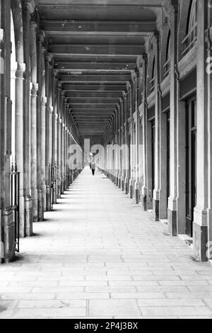 Schwarzweiß-Porträtaufnahme einer einzelnen Person in der Arkade des Palais Royale, 1. Arrondissement in Paris. Stockfoto