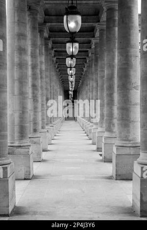 Symmetrisches Schwarz-Weiß-Foto der Arkade im Palais Royale im 1. Arrondissement, Paris. Stockfoto