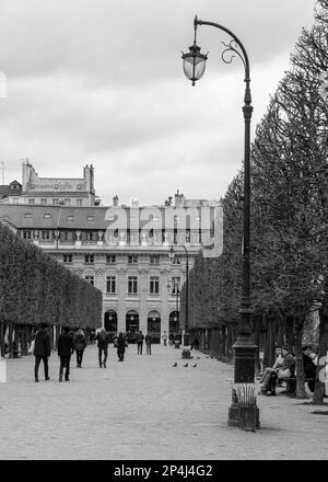 Schwarzweißfoto des Palais Royale Gardens im 1. Arrondissement, Paris. Stockfoto